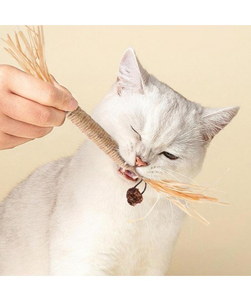 Premium Cat Chew Stick Toy, Natural Silvervine Sticks Cat Toys, Catnip Alternative Cat Chew Toys Teeth Cleaning, Matatabi Cat Treat, Edible Kitty Toys Premium Cat Chew Stick Toy, Natural Silvervine Sticks Cat Toys, Catnip Alternative Cat Chew Toys Teeth Cleaning, Matatabi Cat Treat, Edible Kitty Toys