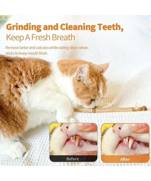 Premium Cat Chew Stick Toy, Natural Silvervine Sticks Cat Toys, Catnip Alternative Cat Chew Toys Teeth Cleaning, Matatabi Cat Treat, Edible Kitty Toys Premium Cat Chew Stick Toy, Natural Silvervine Sticks Cat Toys, Catnip Alternative Cat Chew Toys Teeth Cleaning, Matatabi Cat Treat, Edible Kitty Toys