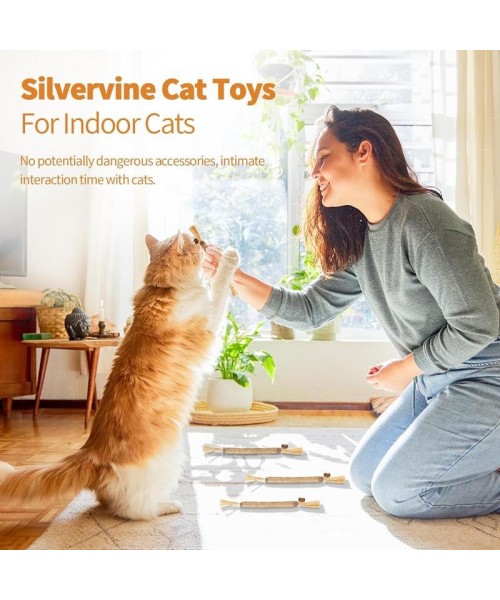 Premium Cat Chew Stick Toy, Natural Silvervine Sticks Cat Toys, Catnip Alternative Cat Chew Toys Teeth Cleaning, Matatabi Cat Treat, Edible Kitty Toys Premium Cat Chew Stick Toy, Natural Silvervine Sticks Cat Toys, Catnip Alternative Cat Chew Toys Teeth Cleaning, Matatabi Cat Treat, Edible Kitty Toys