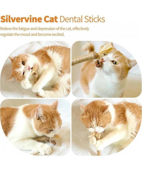 Premium Cat Chew Stick Toy, Natural Silvervine Sticks Cat Toys, Catnip Alternative Cat Chew Toys Teeth Cleaning, Matatabi Cat Treat, Edible Kitty Toys Premium Cat Chew Stick Toy, Natural Silvervine Sticks Cat Toys, Catnip Alternative Cat Chew Toys Teeth Cleaning, Matatabi Cat Treat, Edible Kitty Toys