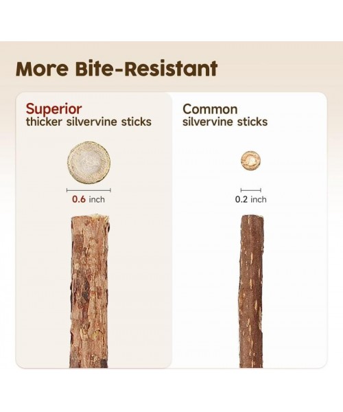 Premium Cat Chew Stick Toy, Natural Silvervine Sticks Cat Toys, Catnip Alternative Cat Chew Toys Teeth Cleaning, Matatabi Cat Treat, Edible Kitty Toys Premium Cat Chew Stick Toy, Natural Silvervine Sticks Cat Toys, Catnip Alternative Cat Chew Toys Teeth Cleaning, Matatabi Cat Treat, Edible Kitty Toys