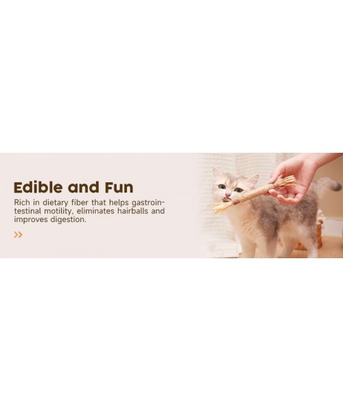 Premium Cat Chew Stick Toy, Natural Silvervine Sticks Cat Toys, Catnip Alternative Cat Chew Toys Teeth Cleaning, Matatabi Cat Treat, Edible Kitty Toys Premium Cat Chew Stick Toy, Natural Silvervine Sticks Cat Toys, Catnip Alternative Cat Chew Toys Teeth Cleaning, Matatabi Cat Treat, Edible Kitty Toys