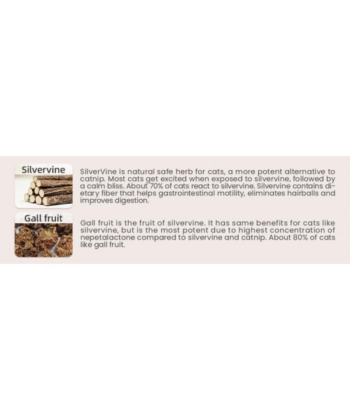Premium Cat Chew Stick Toy, Natural Silvervine Sticks Cat Toys, Catnip Alternative Cat Chew Toys Teeth Cleaning, Matatabi Cat Treat, Edible Kitty Toys Premium Cat Chew Stick Toy, Natural Silvervine Sticks Cat Toys, Catnip Alternative Cat Chew Toys Teeth Cleaning, Matatabi Cat Treat, Edible Kitty Toys