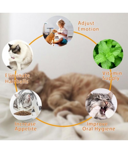 Catnip Ball for Cats, Extra Cat Energy Ball, Edible Toys, Lick Safe Healthy Kitten Chew & Teeth Cleaning Dental Toys Catnip Ball for Cats, Extra Cat Energy Ball, Edible Toys, Lick Safe Healthy Kitten Chew & Teeth Cleaning Dental Toys