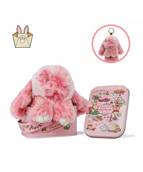 Handmade Soft Bunny PomPom Keychain with Tin Box, Cute Charms for Phone Bag Car, Fashion Accessories, Plush Pendants, Gifts for Women Girls Handmade Soft Bunny PomPom Keychain with Tin Box, Cute Charms for Phone Bag Car, Fashion Accessories, Plush Pendants, Gifts for Women Girls