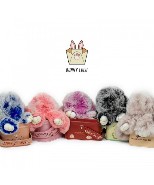 Handmade Soft Bunny PomPom Keychain with Tin Box, Cute Charms for Phone Bag Car, Fashion Accessories, Plush Pendants, Gifts for Women Girls Handmade Soft Bunny PomPom Keychain with Tin Box, Cute Charms for Phone Bag Car, Fashion Accessories, Plush Pendants, Gifts for Women Girls
