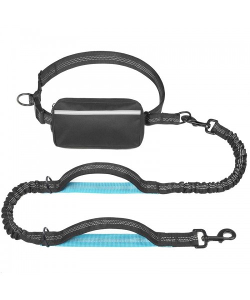 Hands Free Dog Leash with Zipper Pouch, Dual Padded Handles and Durable Bungee for Walking, Jogging and Running Your Dog, Medium (8-25 lbs) | Large (25-120 lbs) Hands Free Dog Leash with Zipper Pouch, Dual Padded Handles and Durable Bungee for Walking, Jogging and Running Your Dog, Medium (8-25 lbs) | Large (25-120 lbs)