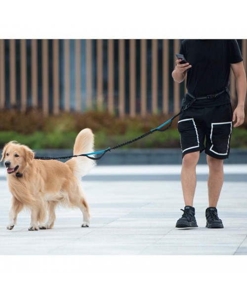 Hands Free Dog Leash with Zipper Pouch, Dual Padded Handles and Durable Bungee for Walking, Jogging and Running Your Dog, Medium (8-25 lbs) | Large (25-120 lbs) Hands Free Dog Leash with Zipper Pouch, Dual Padded Handles and Durable Bungee for Walking, Jogging and Running Your Dog, Medium (8-25 lbs) | Large (25-120 lbs)
