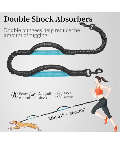 Hands Free Dog Leash with Zipper Pouch, Dual Padded Handles and Durable Bungee for Walking, Jogging and Running Your Dog, Medium (8-25 lbs) | Large (25-120 lbs) Hands Free Dog Leash with Zipper Pouch, Dual Padded Handles and Durable Bungee for Walking, Jogging and Running Your Dog, Medium (8-25 lbs) | Large (25-120 lbs)