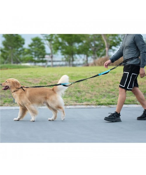 Hands Free Dog Leash with Zipper Pouch, Dual Padded Handles and Durable Bungee for Walking, Jogging and Running Your Dog, Medium (8-25 lbs) | Large (25-120 lbs) Hands Free Dog Leash with Zipper Pouch, Dual Padded Handles and Durable Bungee for Walking, Jogging and Running Your Dog, Medium (8-25 lbs) | Large (25-120 lbs)