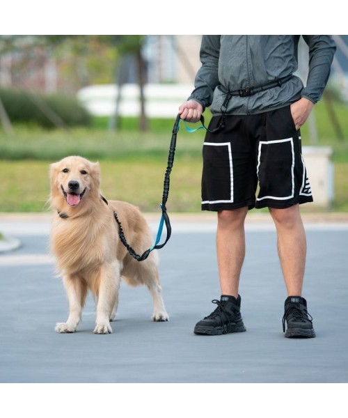 Hands Free Dog Leash with Zipper Pouch, Dual Padded Handles and Durable Bungee for Walking, Jogging and Running Your Dog, Medium (8-25 lbs) | Large (25-120 lbs) Hands Free Dog Leash with Zipper Pouch, Dual Padded Handles and Durable Bungee for Walking, Jogging and Running Your Dog, Medium (8-25 lbs) | Large (25-120 lbs)