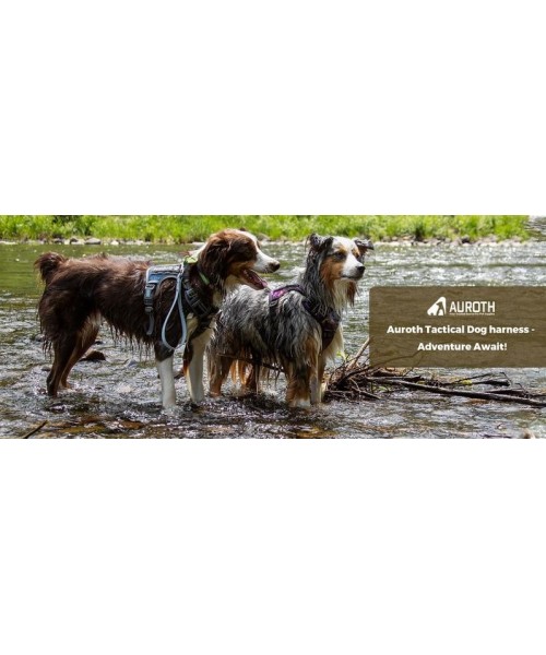 Tactical Dog Harness for Small to Large Dogs , Durable Reflective Dog Harness, Easy to Control, Large Dogs No Pull Adjustable Pet Harness, Dog & Cat Accessories, Pet Supplies Tactical Dog Harness for Small to Large Dogs , Durable Reflective Dog Harness, Easy to Control, Large Dogs No Pull Adjustable Pet Harness, Dog & Cat Accessories, Pet Supplies