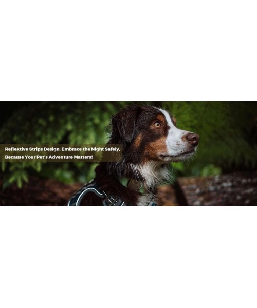 Tactical Dog Harness for Small to Large Dogs , Durable Reflective Dog Harness, Easy to Control, Large Dogs No Pull Adjustable Pet Harness, Dog & Cat Accessories, Pet Supplies Tactical Dog Harness for Small to Large Dogs , Durable Reflective Dog Harness, Easy to Control, Large Dogs No Pull Adjustable Pet Harness, Dog & Cat Accessories, Pet Supplies