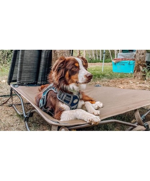 Tactical Dog Harness for Small to Large Dogs , Durable Reflective Dog Harness, Easy to Control, Large Dogs No Pull Adjustable Pet Harness, Dog & Cat Accessories, Pet Supplies Tactical Dog Harness for Small to Large Dogs , Durable Reflective Dog Harness, Easy to Control, Large Dogs No Pull Adjustable Pet Harness, Dog & Cat Accessories, Pet Supplies