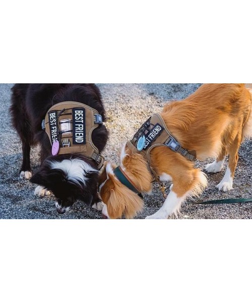 Tactical Dog Harness for Small to Large Dogs , Durable Reflective Dog Harness, Easy to Control, Large Dogs No Pull Adjustable Pet Harness, Dog & Cat Accessories, Pet Supplies Tactical Dog Harness for Small to Large Dogs , Durable Reflective Dog Harness, Easy to Control, Large Dogs No Pull Adjustable Pet Harness, Dog & Cat Accessories, Pet Supplies