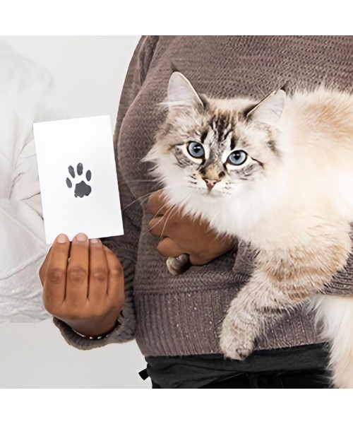 Paw Print Kit, 4-Pcs Ink Pads + 2 Photo Frame, Mess-Free Paw Print Stamp Pad for Dogs & Cats, Clean Touch Ink Pad, Dog Paw & Nose Print Kit, Keepsake Gift For Pet Dogs And Cats, Memorial Gift For Pets, Pet Memorials Paw Print Kit, 4-Pcs Ink Pads + 2 Photo Frame, Mess-Free Paw Print Stamp Pad for Dogs & Cats, Clean Touch Ink Pad, Dog Paw & Nose Print Kit, Keepsake Gift For Pet Dogs And Cats, Memorial Gift For Pets, Pet Memorials