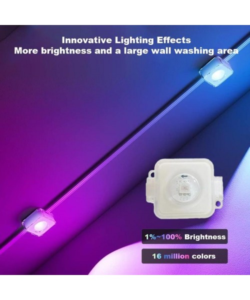 Outdoor Decorative Light, RGBIC Smart Eaves Light, IP67 Waterproof Outdoor Lighting for House Roofs, Suitable for Holiday Decor