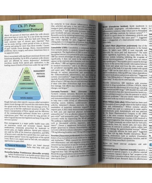 The Holistic Guide to Wellness: Herbal Protocols for Common Ailments | 45 Different Health Conditions | Soft Cover The Holistic Guide to Wellness: Herbal Protocols for Common Ailments | 45 Different Health Conditions | Soft Cover