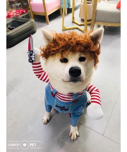 Funny Chucky Dogs Costume with Pet Wig,Creative Cosplay Scary Outfit Knife,for Small Medium and Large Cats Puppy,Party Animal Clothes Ragdoll stume Funny Chucky Dogs Costume with Pet Wig,Creative Cosplay Scary Outfit Knife,for Small Medium and Large Cats Puppy,Party Animal Clothes Ragdoll stume