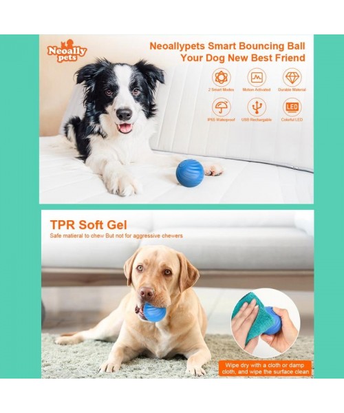 Electric Rolling Pet Toy Ball - USB Rechargeable, Self-Rotating Fun for Dogs and Cats, TPR Soft Gel, Safe Chew Material, Ideal Summer Gift interactive dogtoys Electric Rolling Pet Toy Ball - USB Rechargeable, Self-Rotating Fun for Dogs and Cats, TPR Soft Gel, Safe Chew Material, Ideal Summer Gift interactive dogtoys