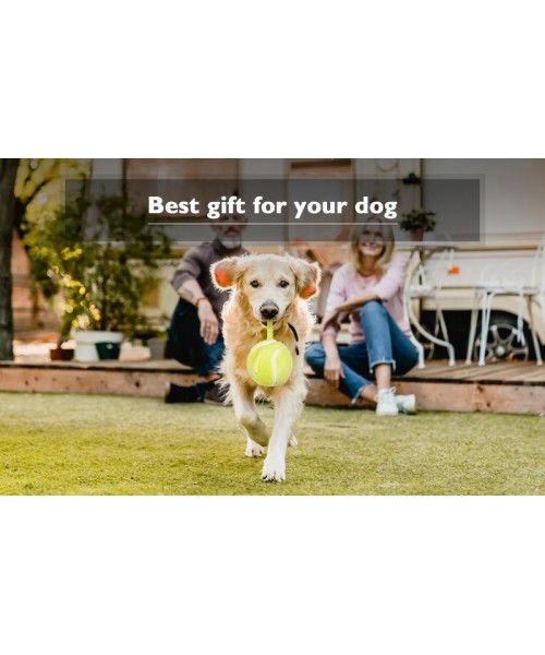 Interactive Dog Toys Dog Ball,[Newly Upgraded] Durable Motion Activated Automatic Rolling Ball Toys for/Small/Medium/Large Dogs,USB Rechargeable